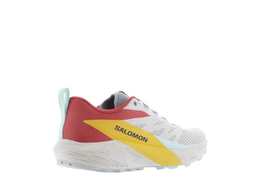 SALOMON - SENSE RIDE 5 HOMME