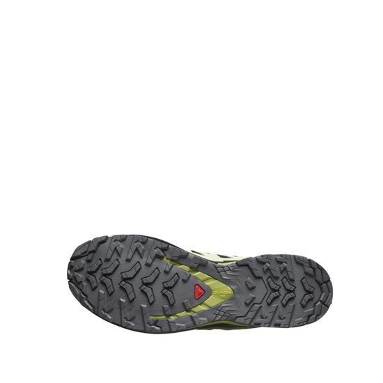 SALOMON - XA PRO 3D V9 GTX HOMME