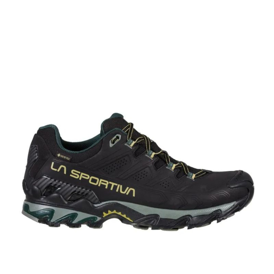 ULTRA RAPTOR II LEATHER WIDE GTX HOMME