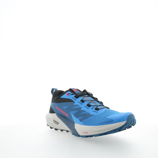 SALOMON - SENSE RIDE 5 HOMME