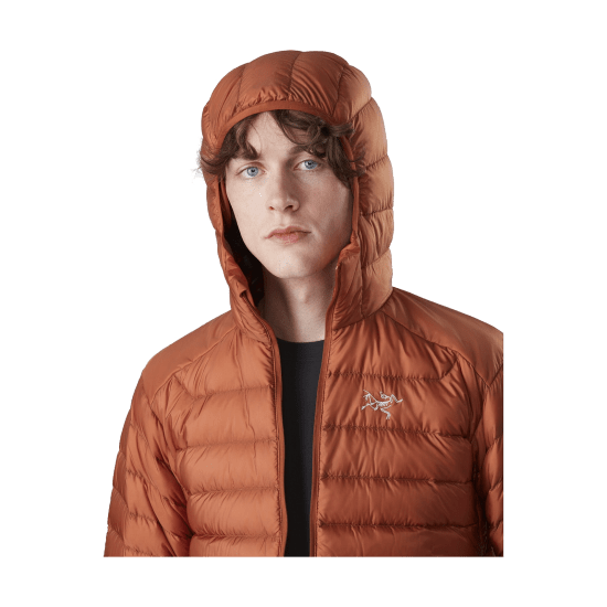 ARCTERYX - DOUDOUNE CERIUM LT HOODY HOMME