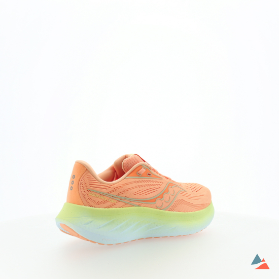 SAUCONY - RIDE 18 FEMME