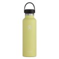 Gourde 24 OZ STANDARD MOUTH - HYDRO-FLASK