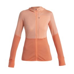 ICEBREAKER SWEAT MERINO 200 REALFLEECE DESCENDER FEMME