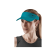 VISIÈRE THE RUN VISOR