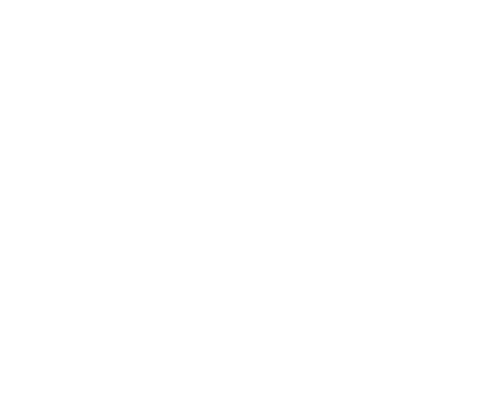 INOV 8