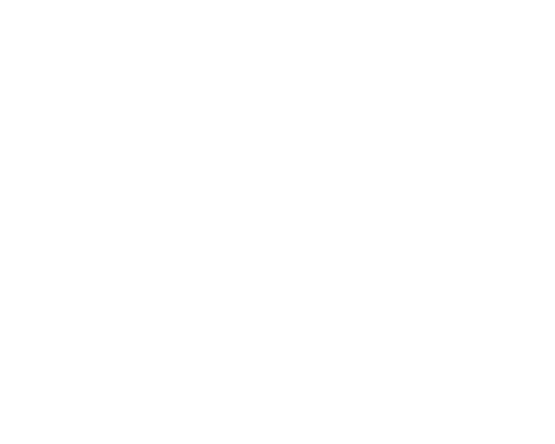 ZAMST