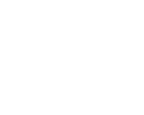 CYBEX