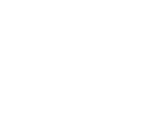 SWISS ADVANCE