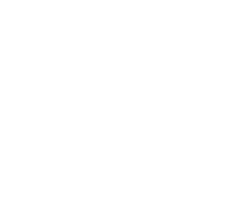 NIC IMPEX