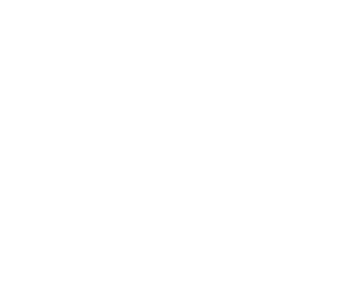 SPEEDO