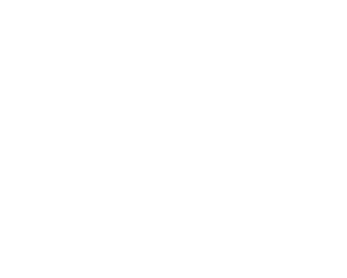 INSTINCT