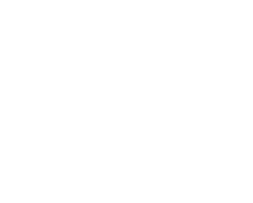 TECNICA