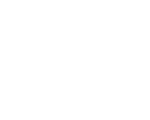 BIG AGNES