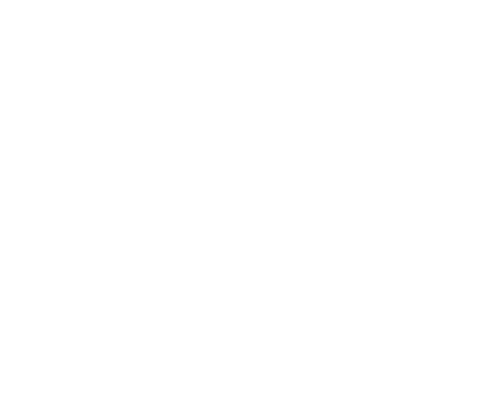 ZOGGS