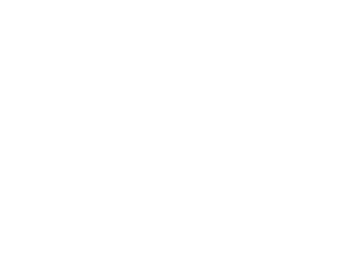 MIZUNO